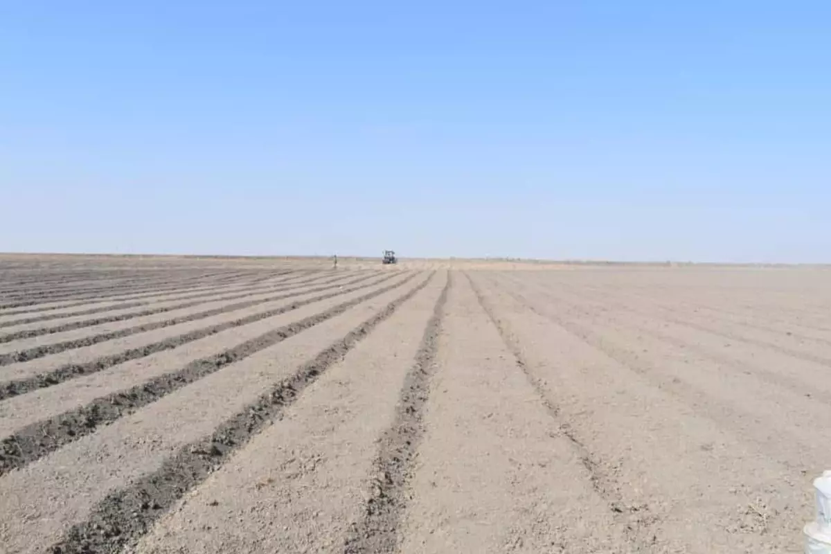 Весенняя посевная началась в Махамбетском районе