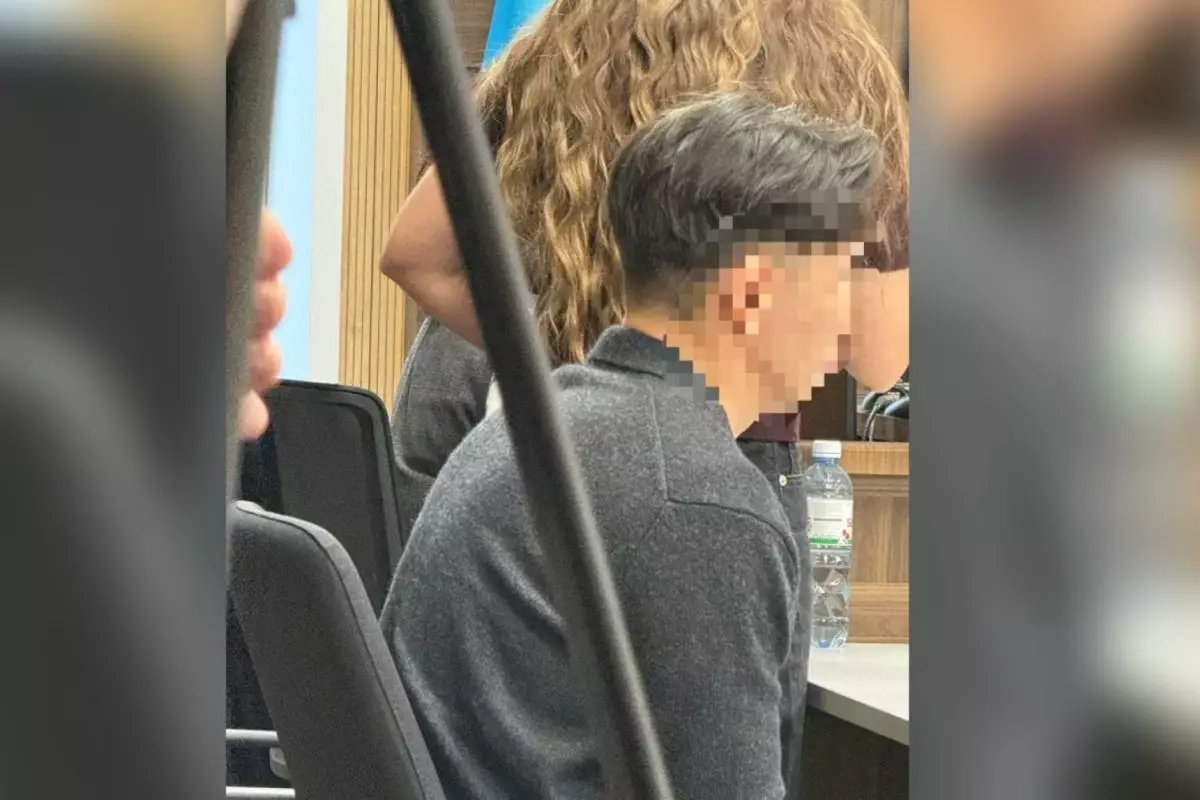 Блогер Жанәбілов cотта заңсыз кәсіпкерлікпен айналысқанын мойындады