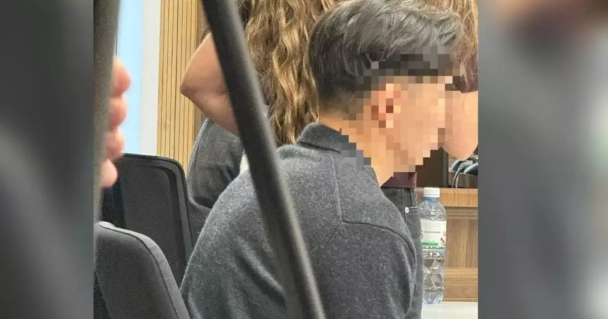  Блогер Жанәбілов cотта заңсыз кәсіпкерлікпен айналысқанын мойындады 