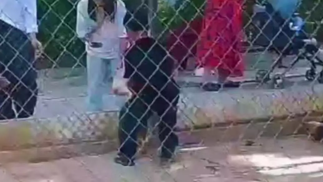 Қояндар қорлық көрді: Шымкенттегі хайуанаттар бағындағы қоршауға анасы баласын кіргізген