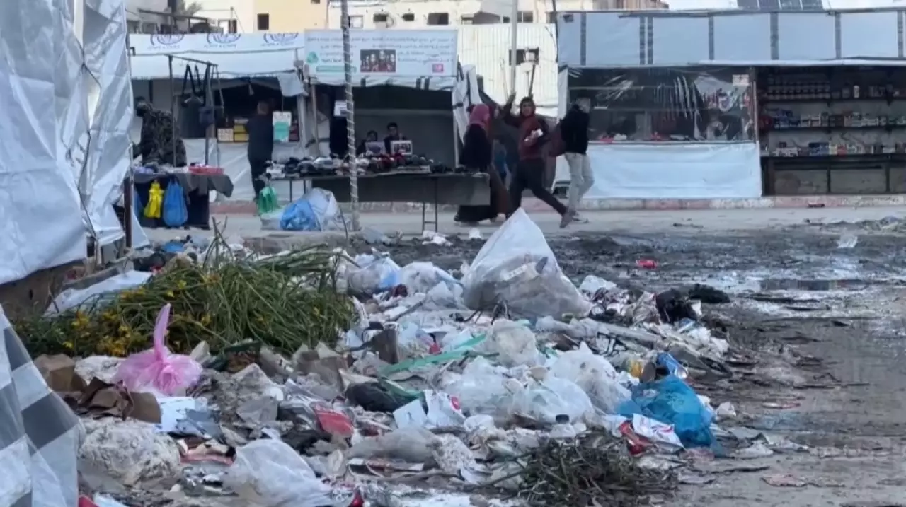 Сектор Газа столкнулся с нашествием грызунов