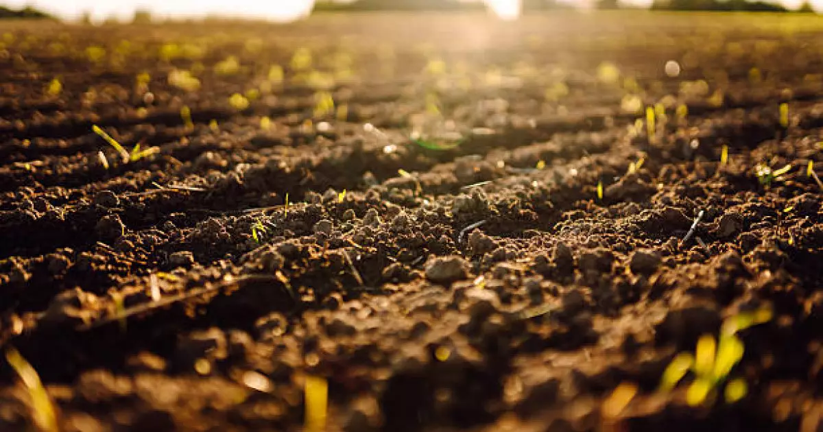  Жамбыл облысында құны 22 млн теңге тұратын жер телімі мемлекет меншігіне қайтарылды 