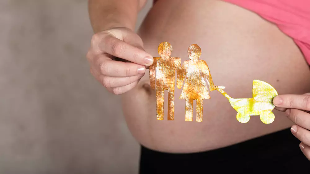 “Не пришла на процедуру“. В Акмолинской области суд наказал суррогатную мать