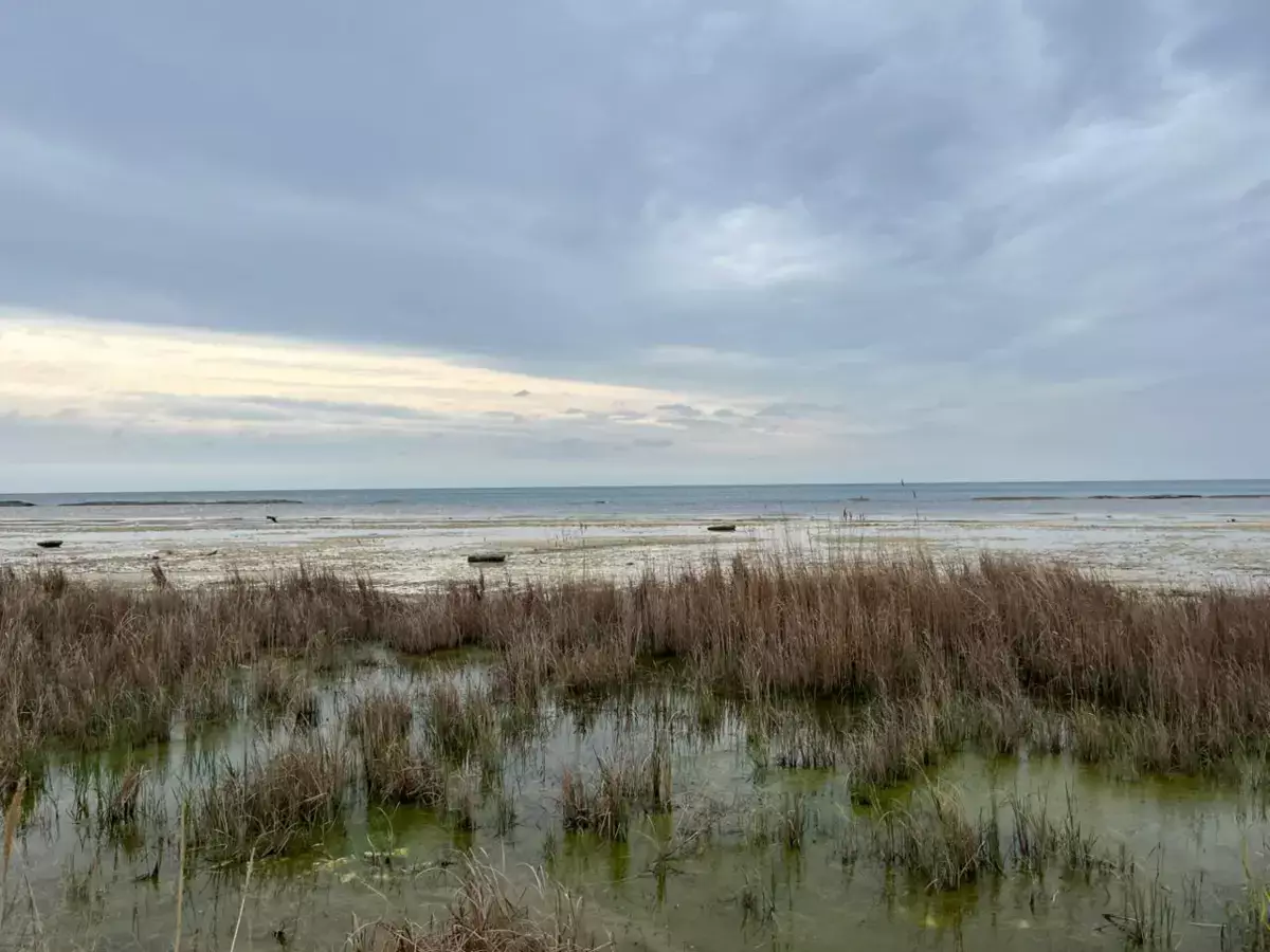 Почему трясёт Каспий — эксперт объяснил причину участившихся землетрясений - новости на Lada.kz 14.04.2026