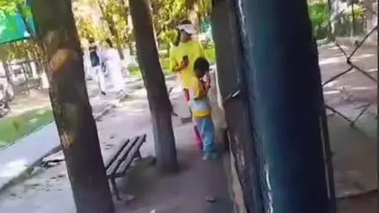 Семейде арыстанға тас атқандар жазаланды