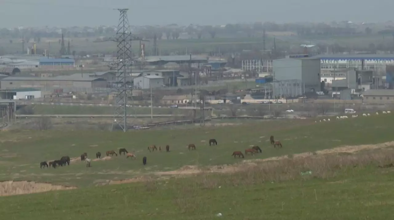 Шымкентте коммуналдық қызметке тариф төмендеді