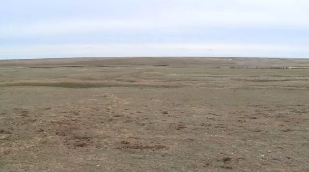 2 млн га вернули государству в Карагандинской области