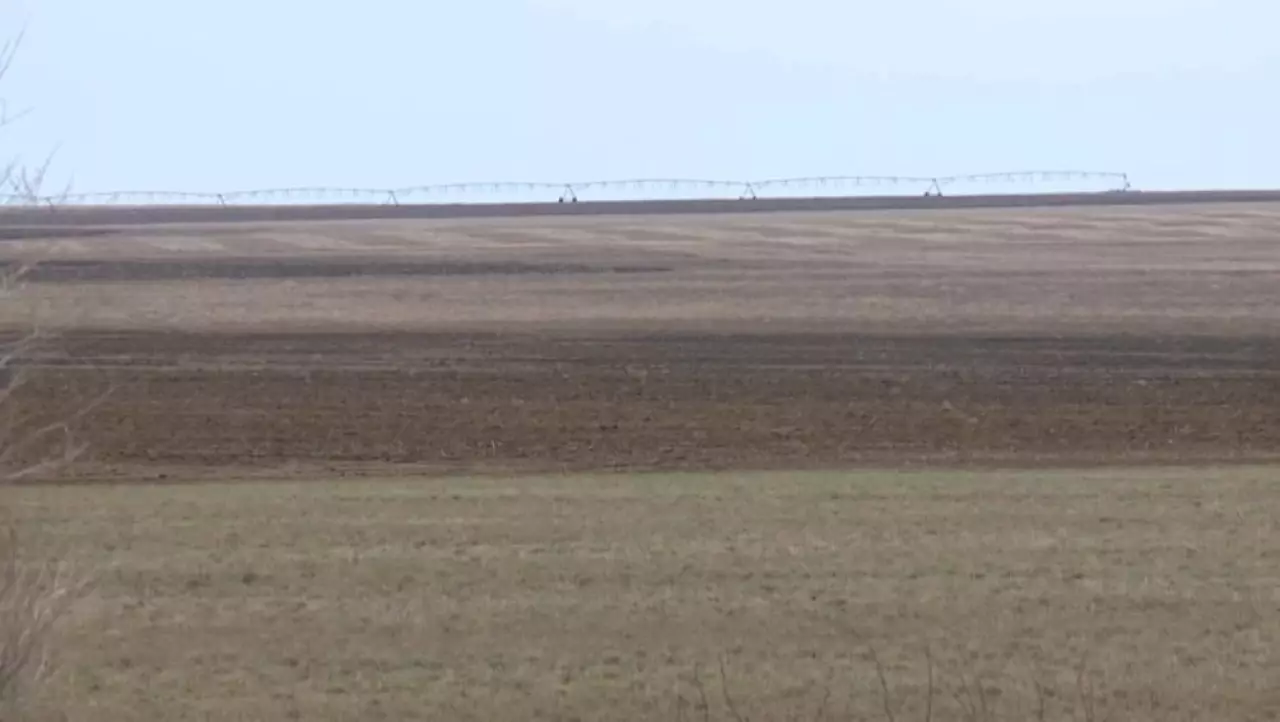 Бос жатқан жерлер шаруаларға беріліп жатыр