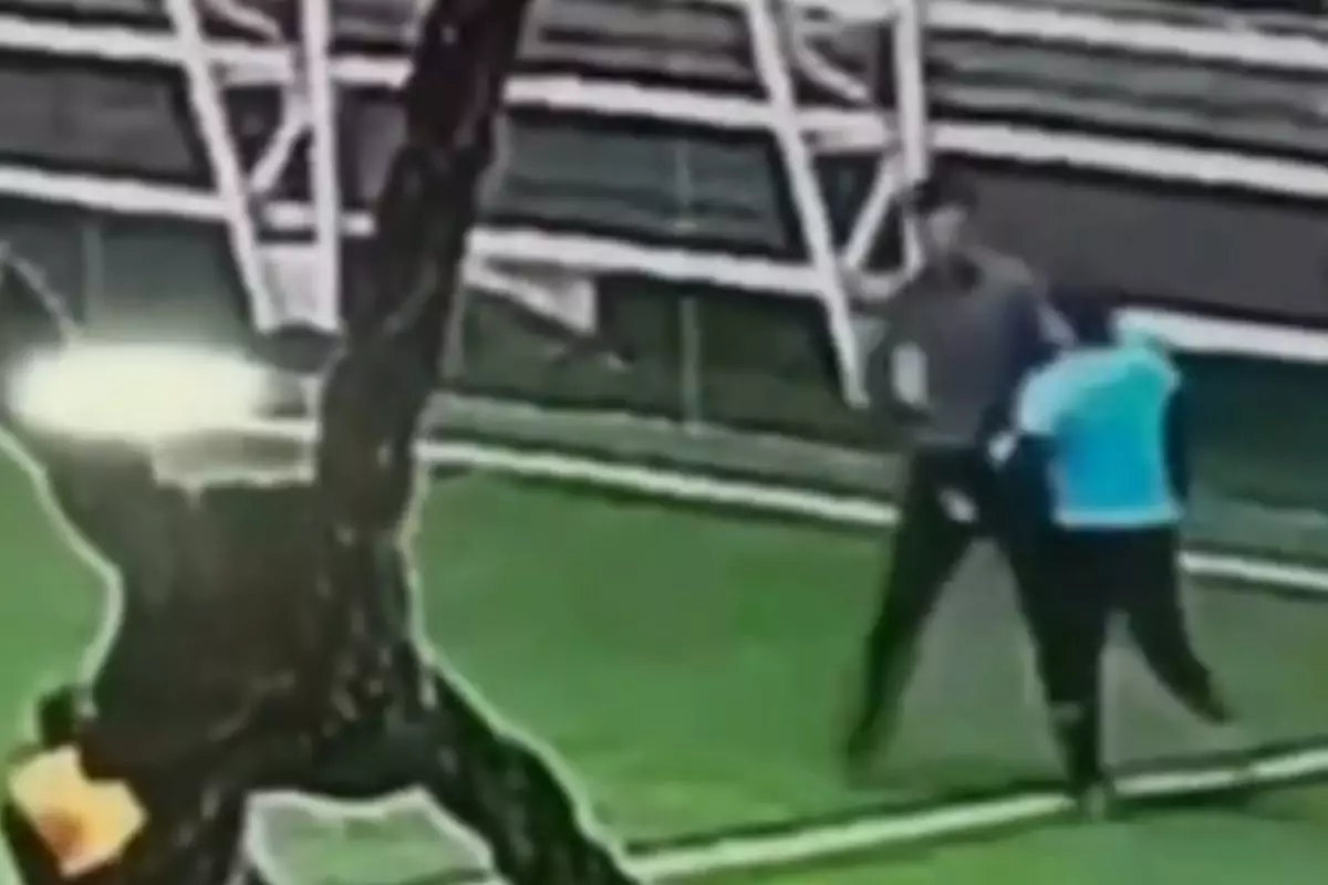 Акима района в Шымкенте наказали после скандального видео