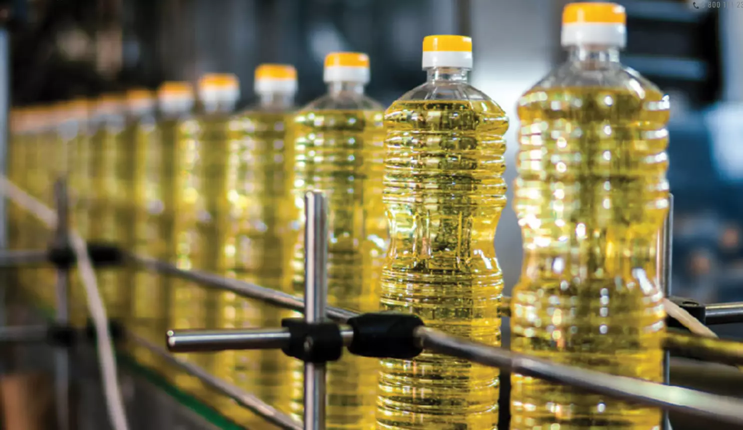 Производство масел в Казахстане с начала года выросло на 12 процентов.