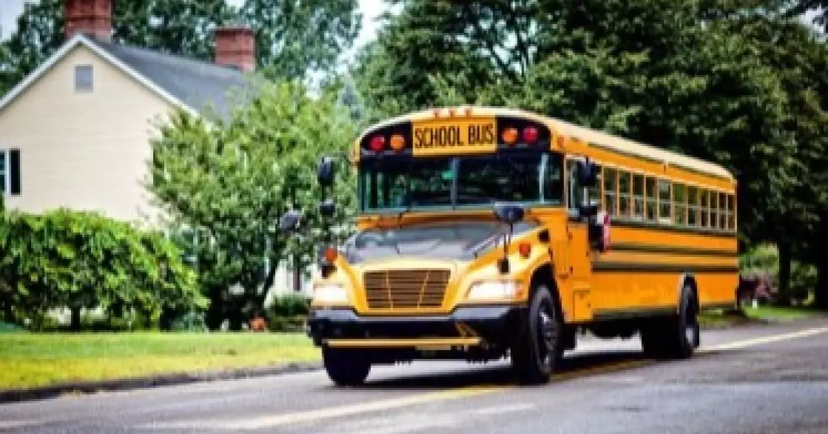  Автобус жүргізушісінің талмасы ұстап, ағашқа соғылған: ішінде 26 бала болды 