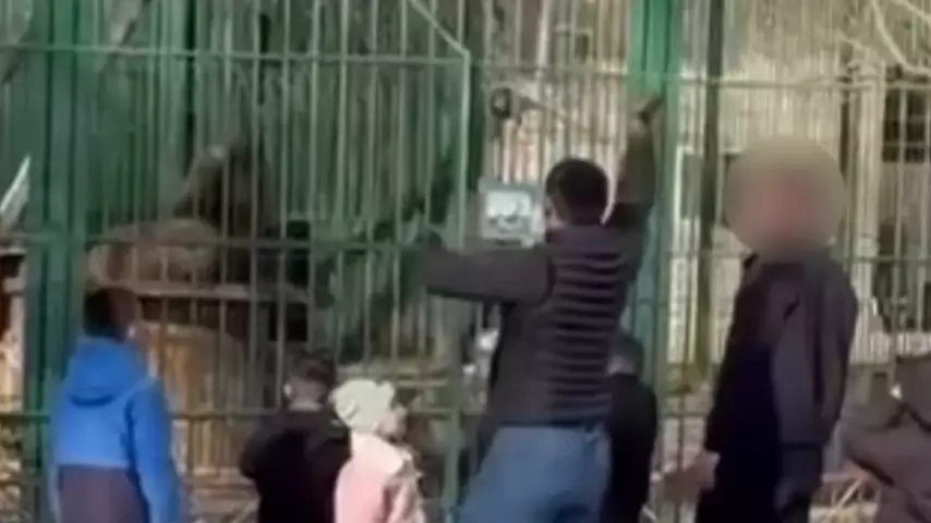 Двух мужчин наказали за нападение на львов в биоцентре в области Абай