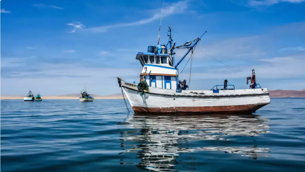 АҚШ Тынық мұхитында күдікті кемеге соққы жасады: 4 адам қаза тапты