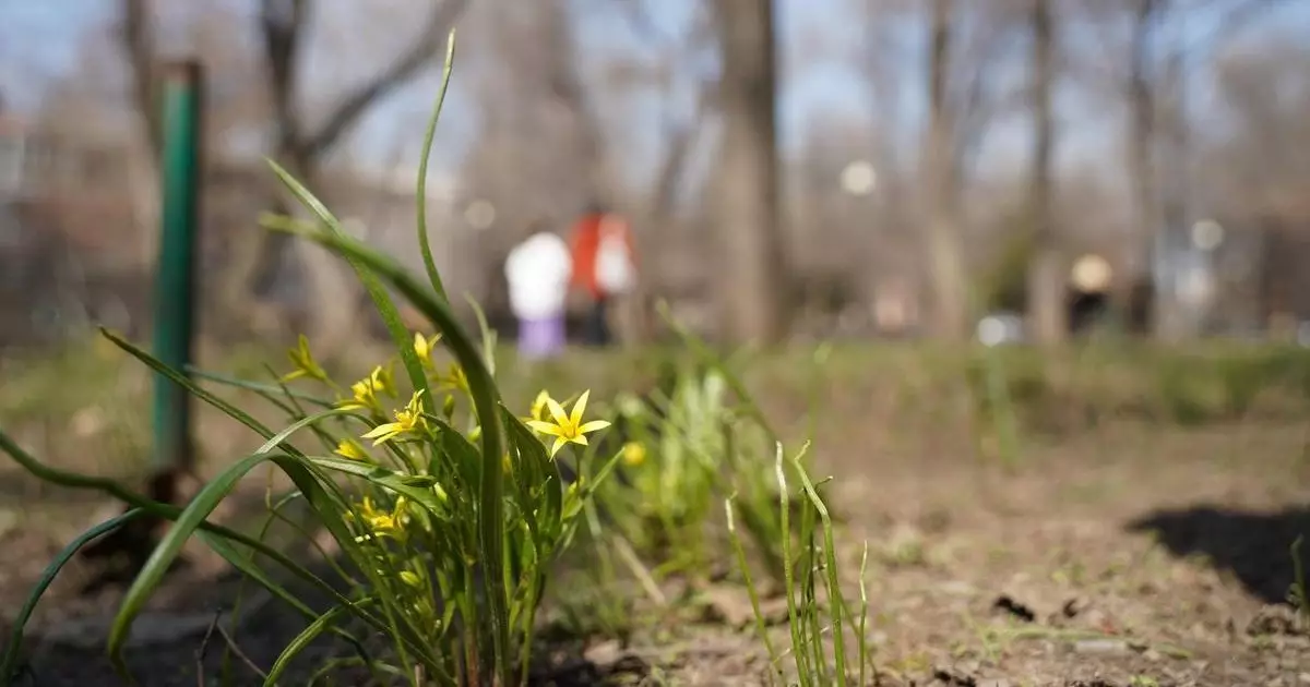 До 26 градусов тепла ожидается в мегаполисах Казахстана во вторник.