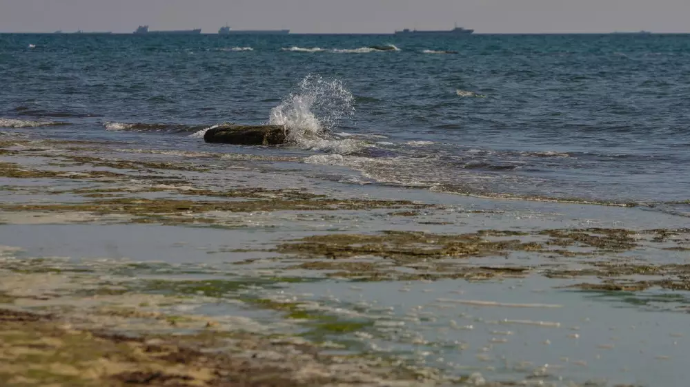 Каспийде бір аптада 12 жер сілкінісі болды: сейсмолог Қазақстан үшін қандай қауіп барын бағалады