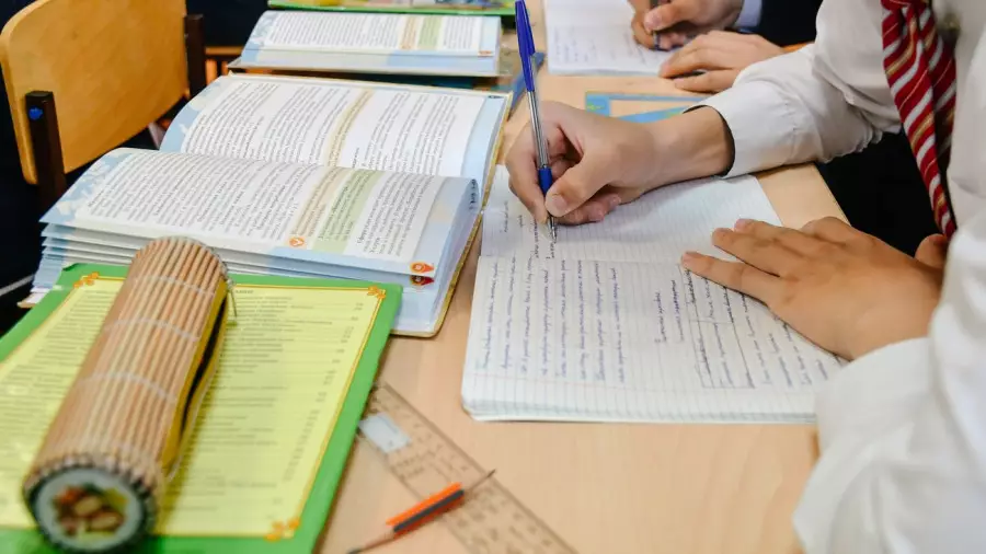 Мазмұндама, шығарма, диктант қайта енгізіледі: еліміздің бас педагогі маңызды өзгерістерді айтты