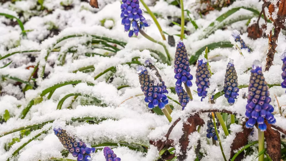 Морозы до -18 - Казахстан накроет резкое похолодание