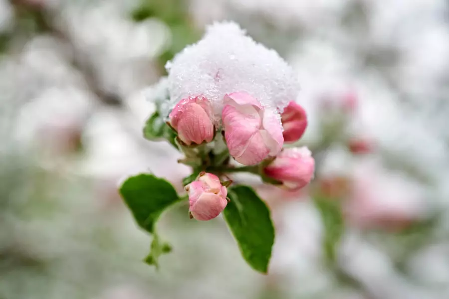 Күрт құбылады: алдағы күндері ауа райы қандай болады?