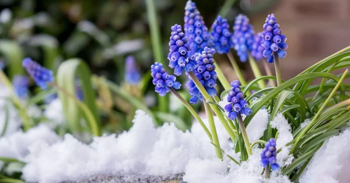  Қазақстанда алдағы үш күнде -18 градусқа дейін суытады 