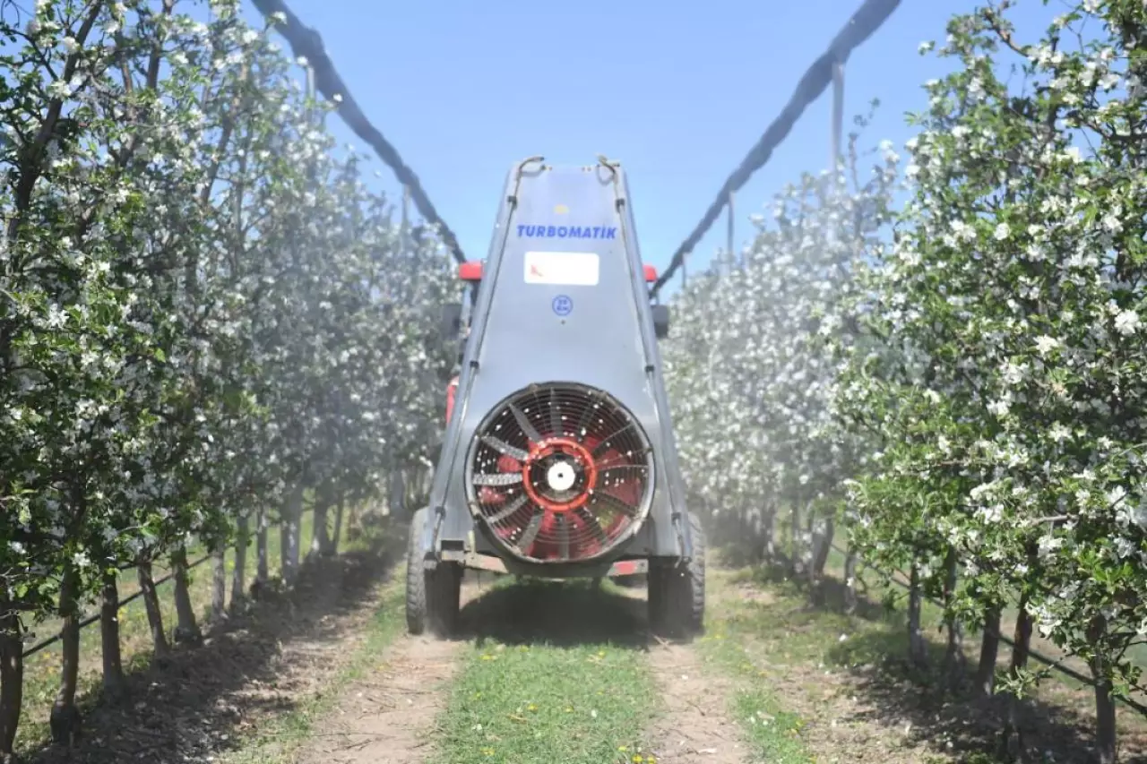 Яблоневые сады Алматинской области: от цветения к богатому урожаю