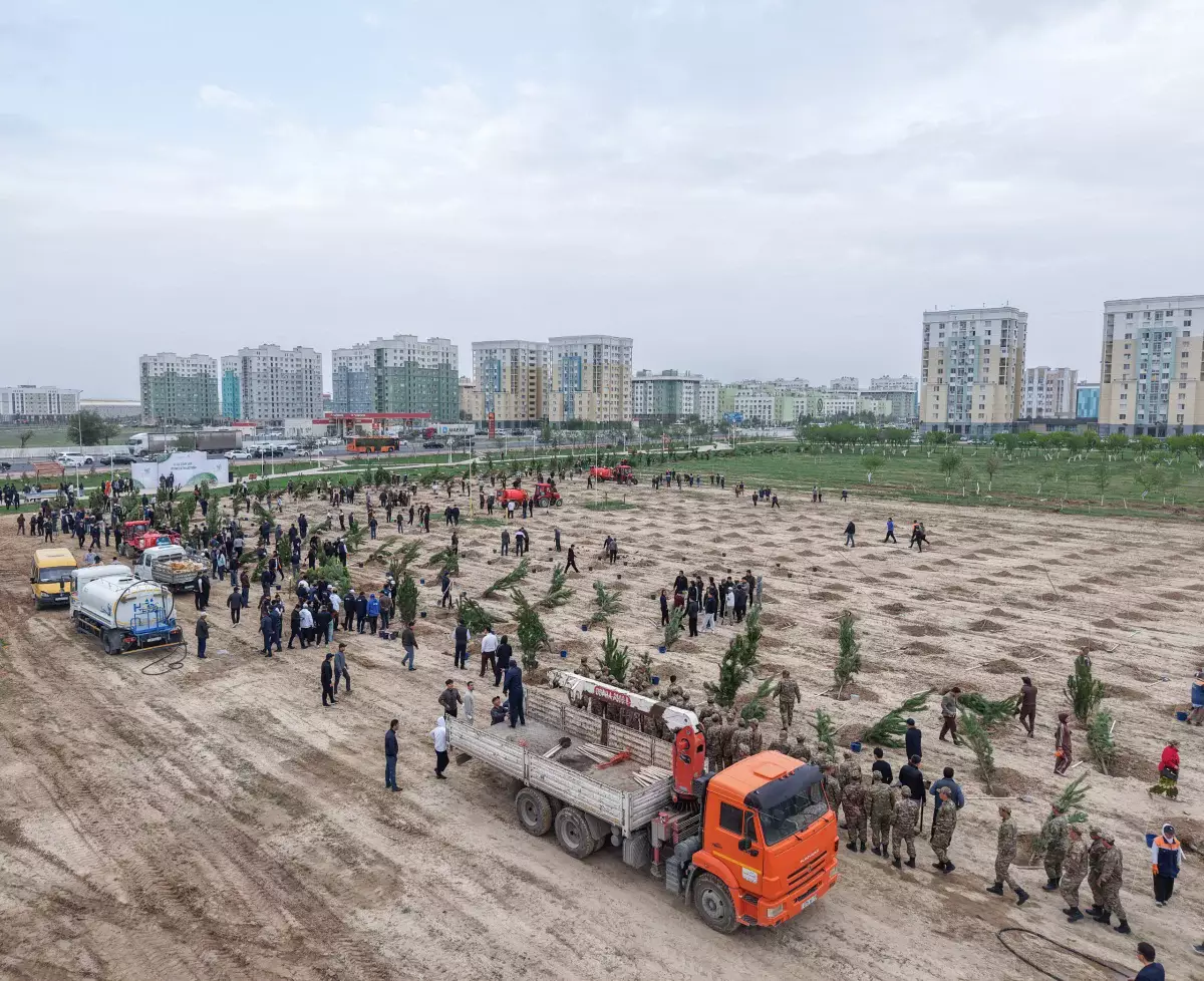 Түркістанда бір күнде 2 мың ағаш егілді