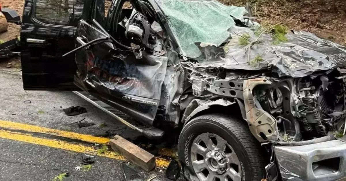  Көліктің үстіне 30 метрлік қарағай құлаған: ішінде 3 адам болды 