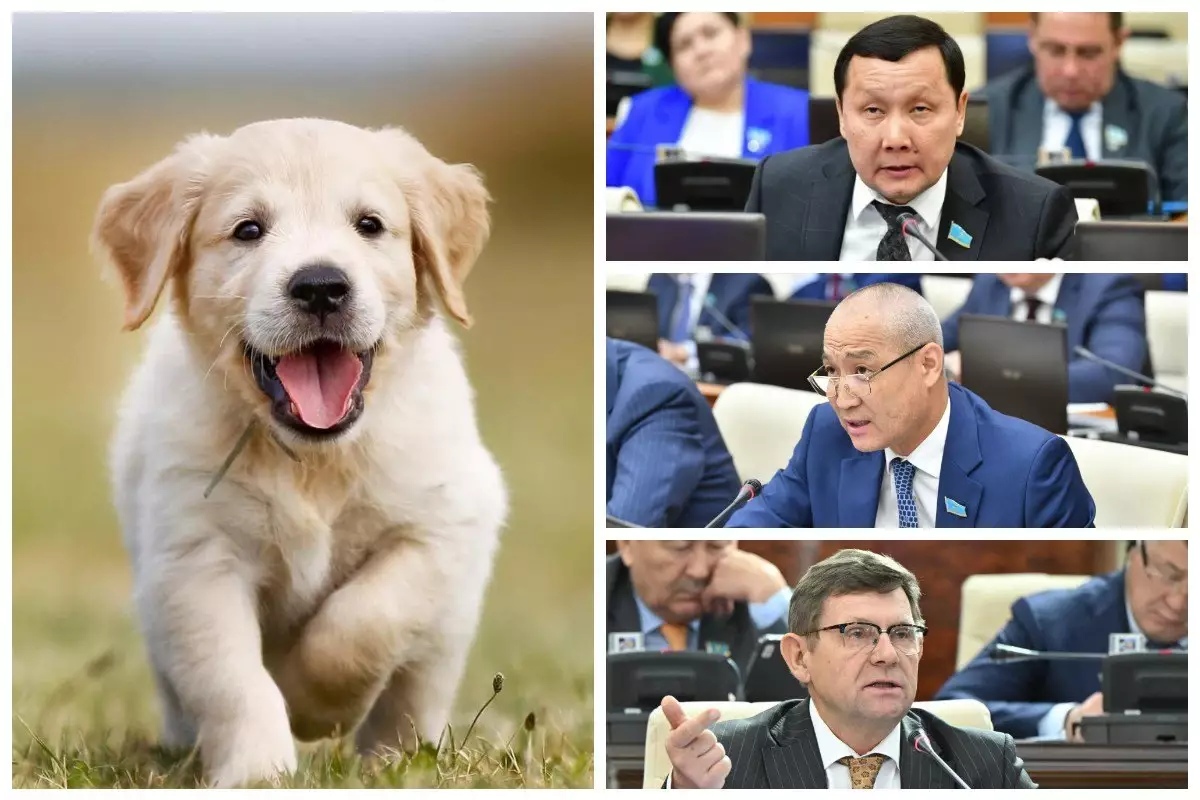 "Араздық қоздырғандар жауапқа тартылу керек": Абзал Құспан желіде депутаттарға қарсы айтылған үндеулерге қатысты ренішін айтты