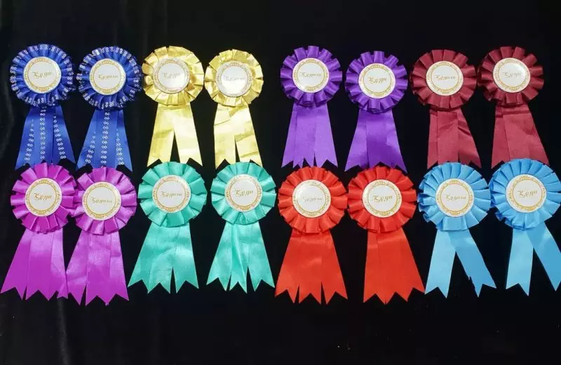 «Лучший сват» и «человек века»: навести порядок с фальшивыми наградами хотят в Казахстане