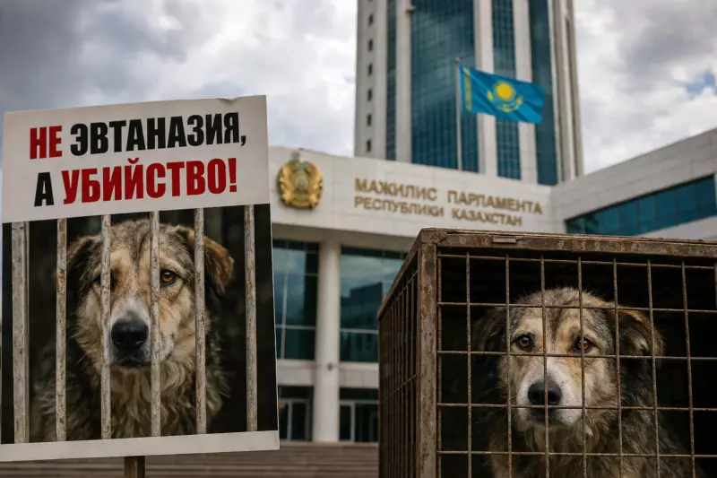 «Это красная линия»: депутаты встревожились реакцией общества на поправки об эвтаназии животных