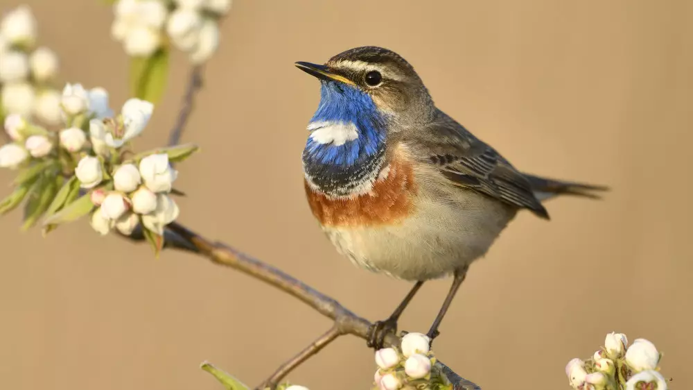 Астанада күн жылынып, Алматыда жаңбыр жауады: 16-18 сәуірге арналған болжам