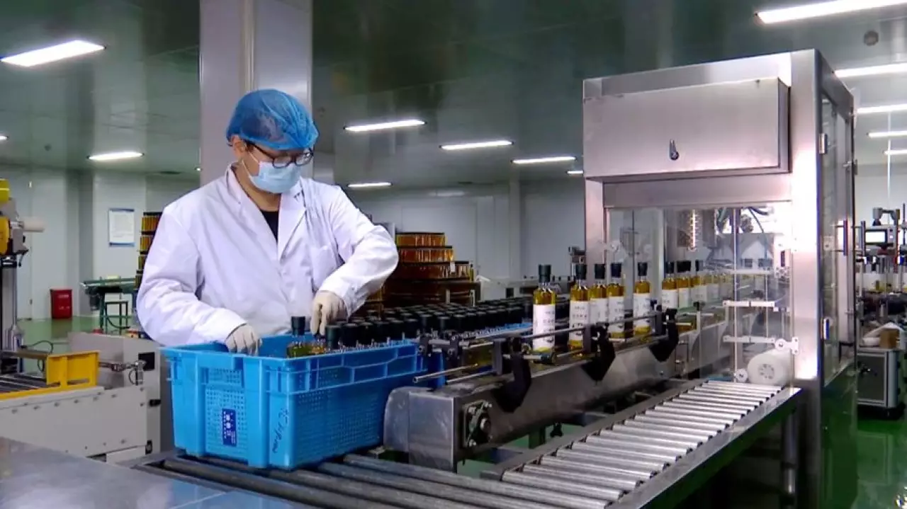 Зерновой поток ускоряется: Алашанькоу начал год с рекордного роста