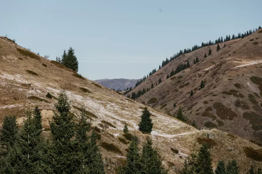 Құны 2 млрд теңгеден асады: Алматыда тау бөктеріндегі жер телімі мемлекетке қайтарылды