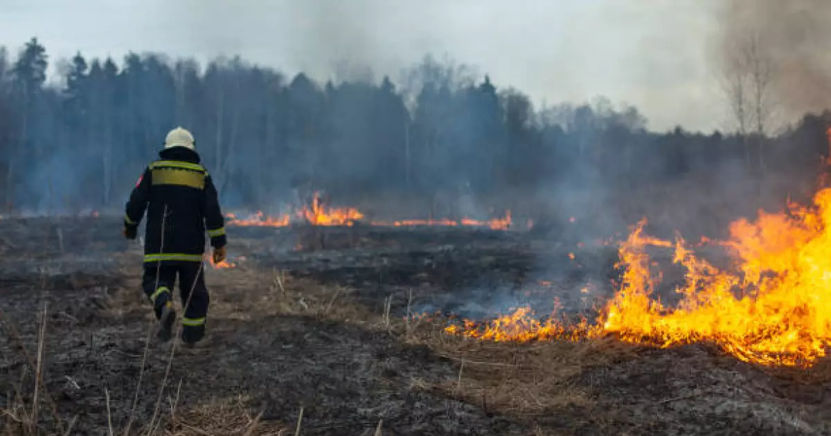  ТЖМ өрт қауіпті кезеңде қауіпсіздік шараларын сақтауға шақырды 