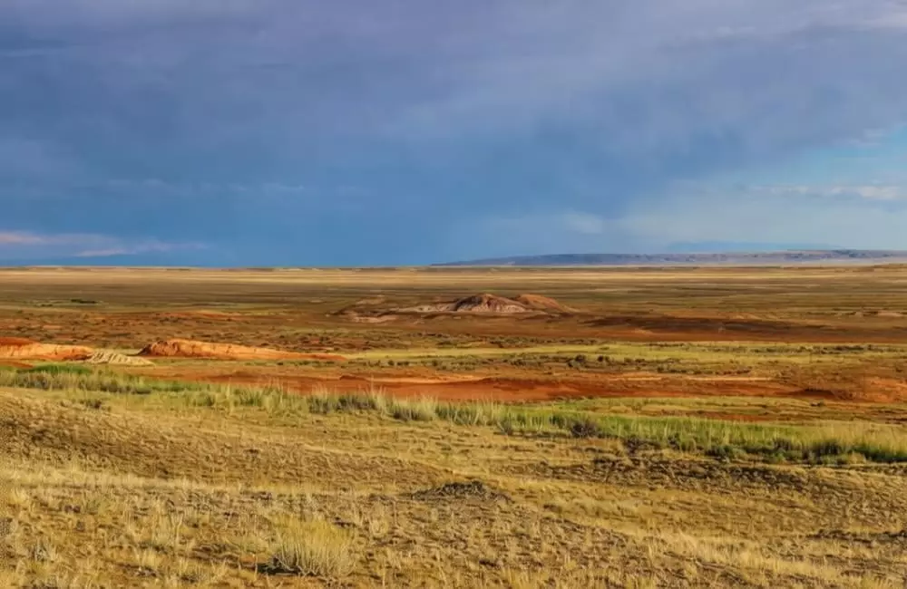 Россия и Казахстан совместно борются с опустыниванием в Северном Прикаспии.