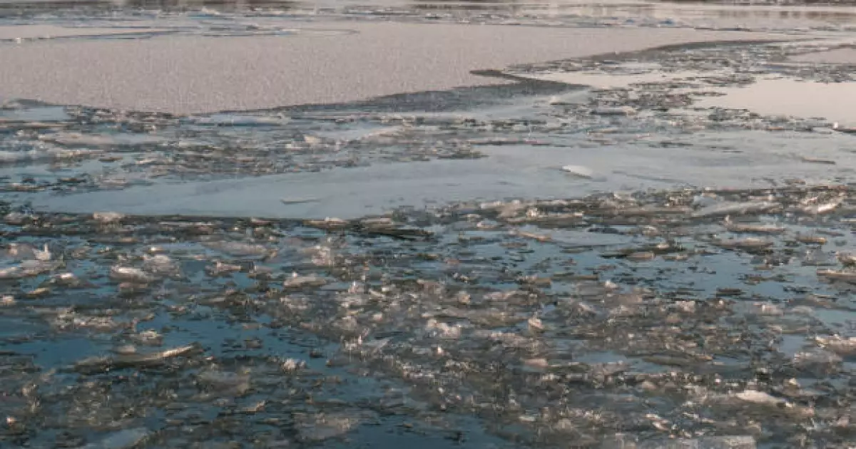   Солтүстік Қазақстанда полицей мұздай суға түсіп, 86 жастағы зейнеткерді алып шықты   