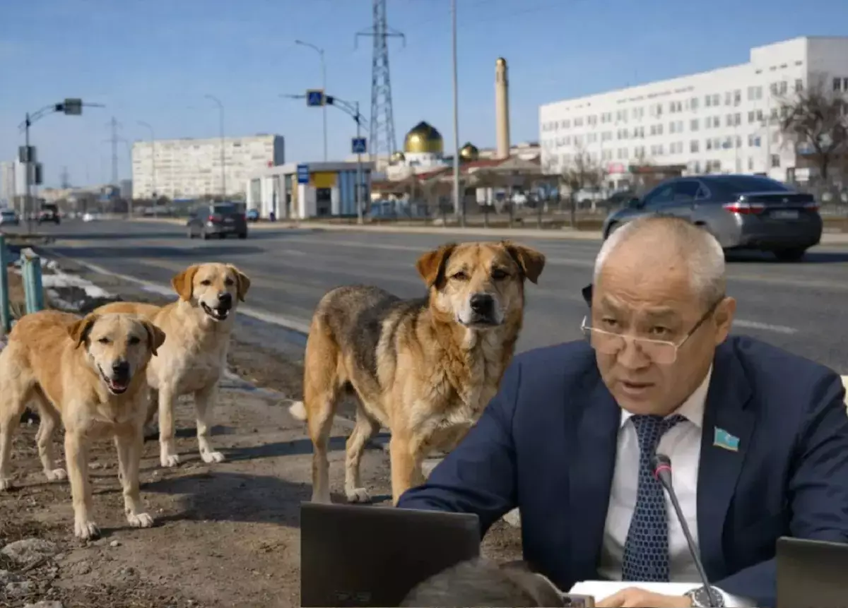 Видео в поддержку и петиции против: скандалом обернулась инициатива депутата от Мангистау об убийстве животных - новости на Lada.kz 15.04.2026
