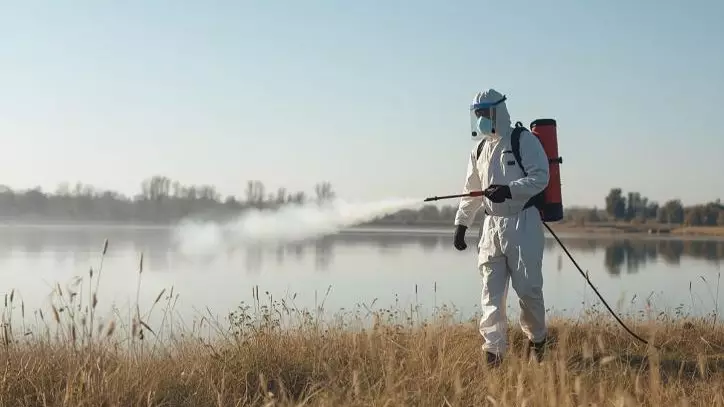 Как Балхаш борется с комарами этим летом