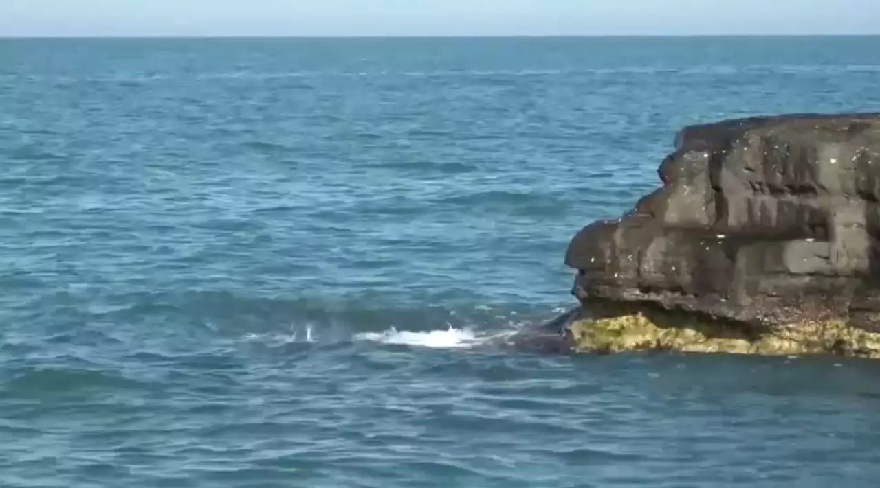 Каспийді қорғауға 12 млн доллар жұмсалады