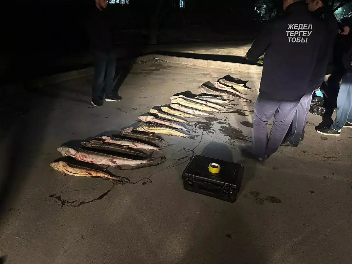 В Актау задержали двоих мужчин с крупной партией осетрины - новости на Lada.kz 15.04.2026