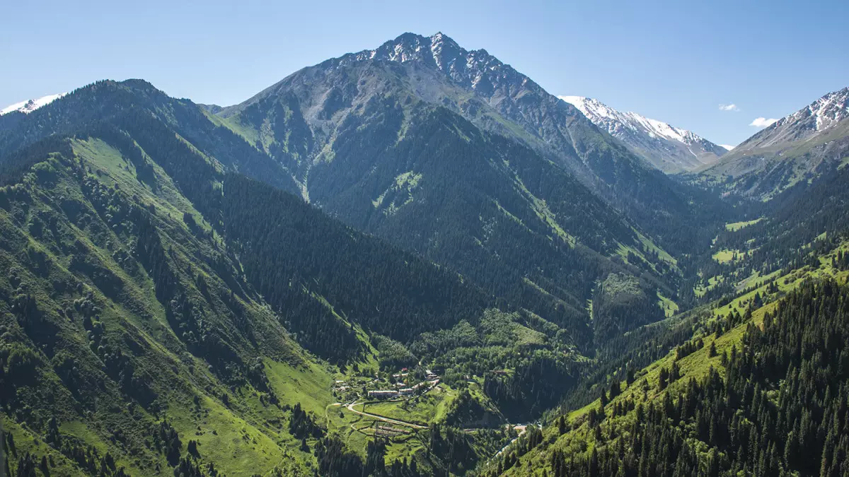 Іле Алатауының бөктеріндегі жер телімі мемлекетке қайтарылды