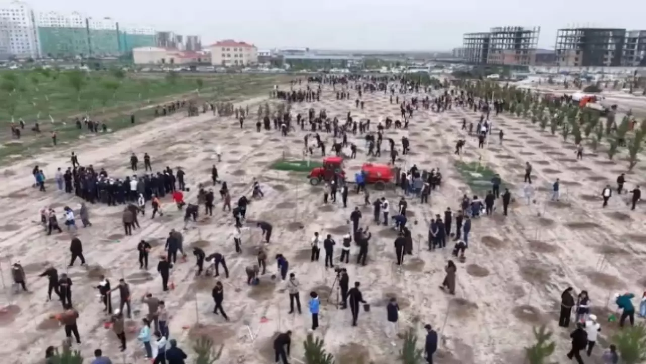 Более 2 тысяч деревьев высадили в Туркестане в рамках экоакции