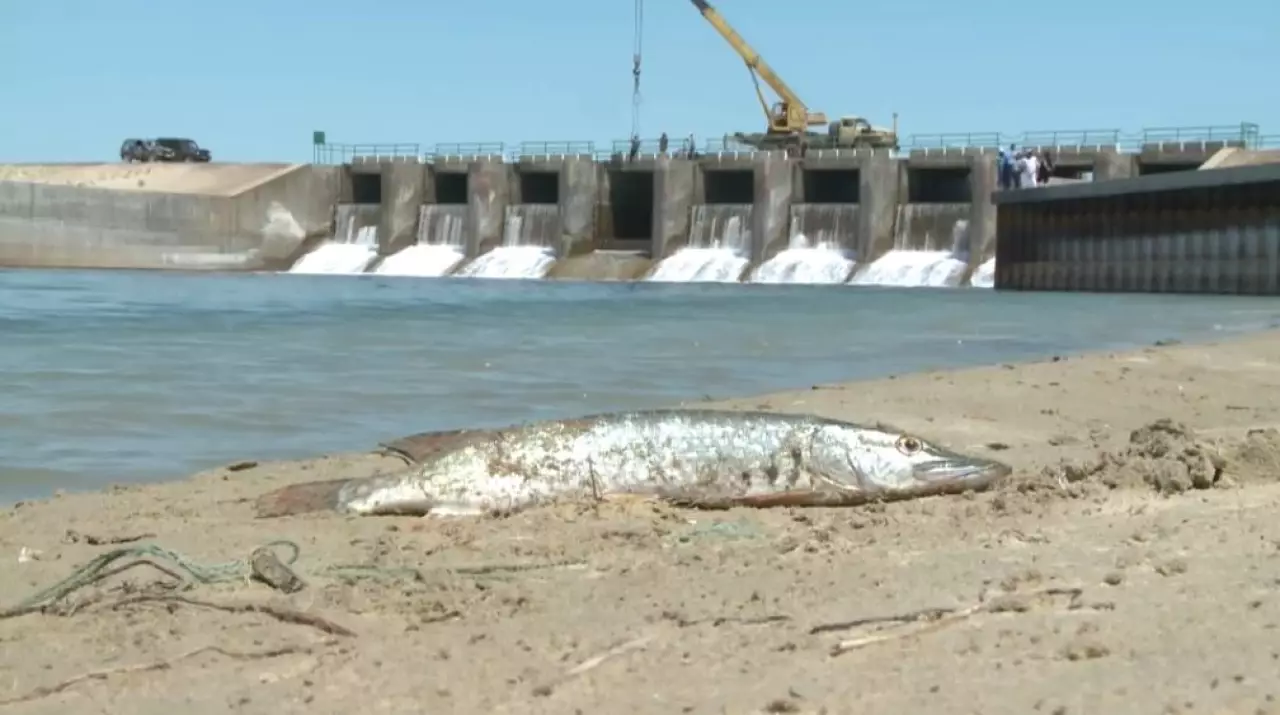 Сарапшылар аймақтық экосаммит жайлы пікір қосты