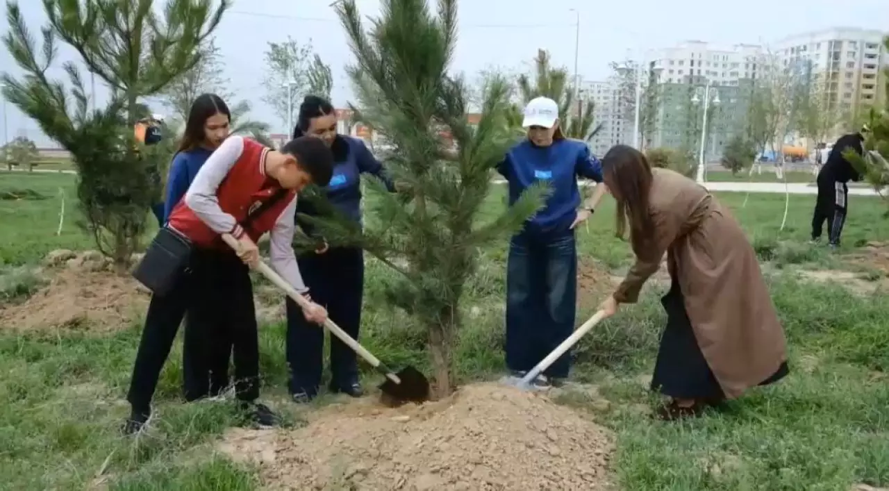 Түркістанда 2 мыңнан астам ағаш егілді