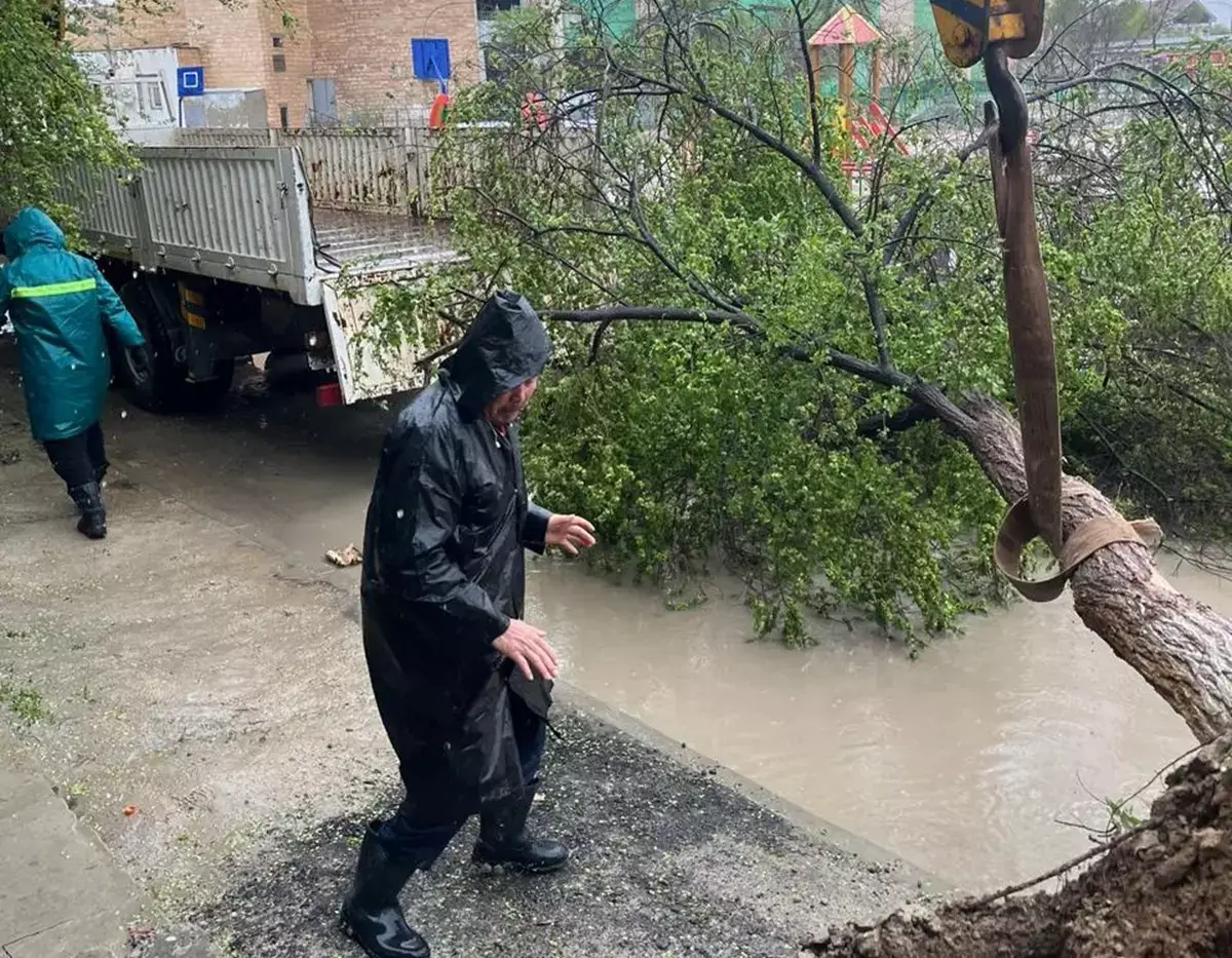 Сильный ветер в Мангистау: спасатели дали рекомендации жителям - новости на Lada.kz 15.04.2026