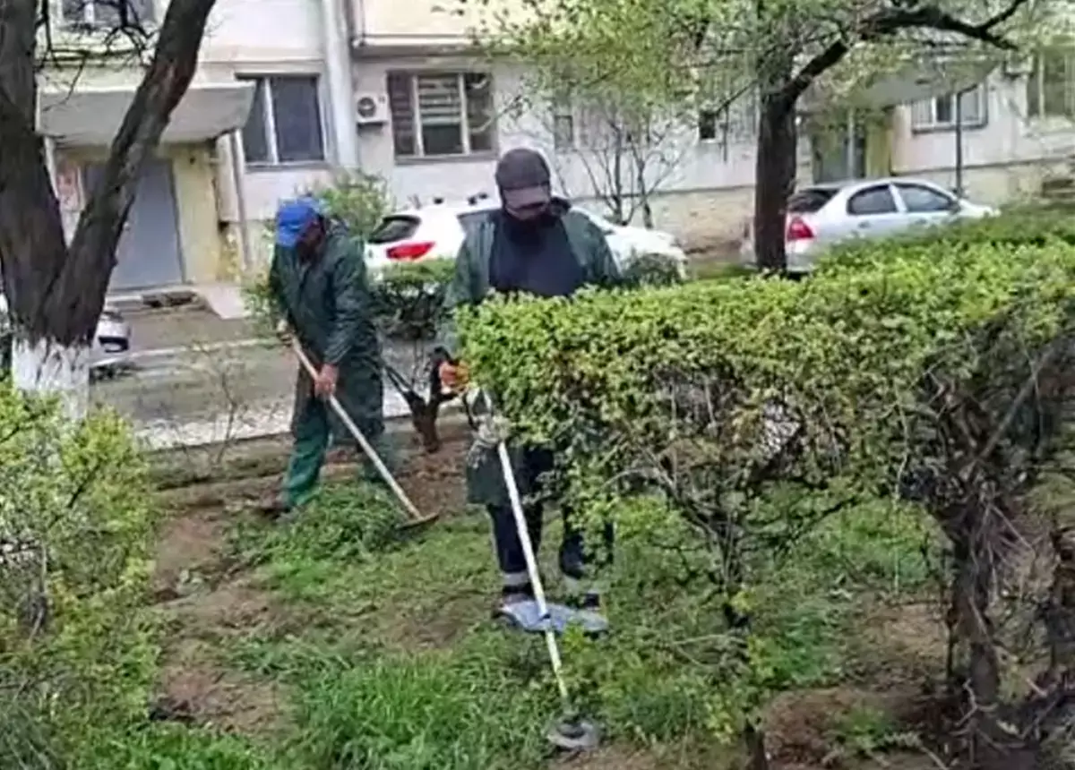 Голый песок поливать не надо: горожане возмущены ликвидацией зелёной травы в Актау - новости на Lada.kz 15.04.2026