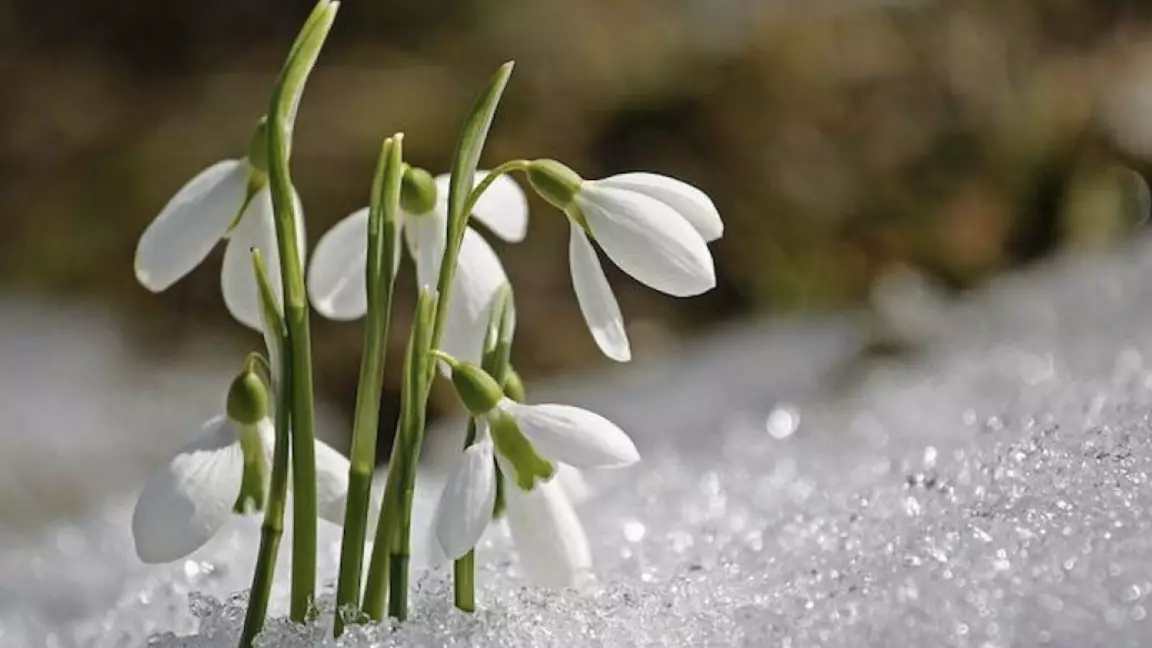 16 сәуірде ауа райы қандай болады?