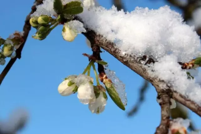 Жаңбыр қарға ұласады: 16 сәуір қауіпті метеорологиялық құбылыстар күтіледі