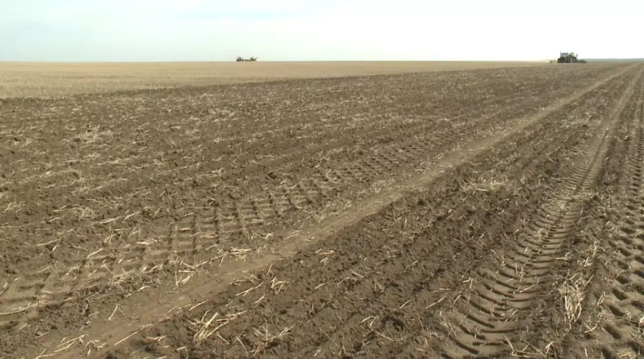 К посевной кампании готовятся аграрии Акмолинской области