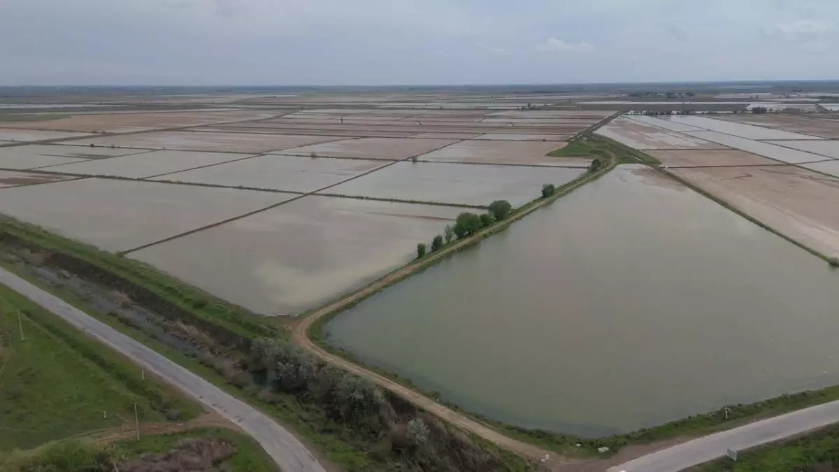 В южных районах страны промыли почвы