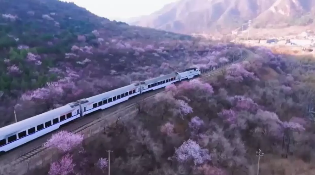 Қытайда туристер көбейді